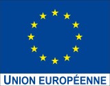 drapeau-union-europeenne-avec-logo-ue-3