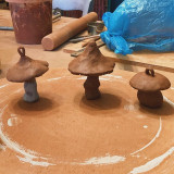 champignons-non-cuits-2060