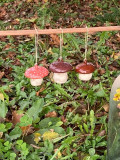 champignons-suspendus-2057