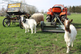 img-4270-1616