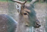 img-5962-1774