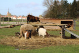 img-5970-1775