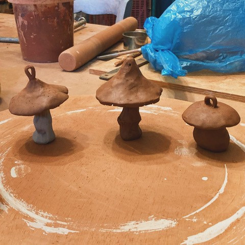 champignons-non-cuits-2060
