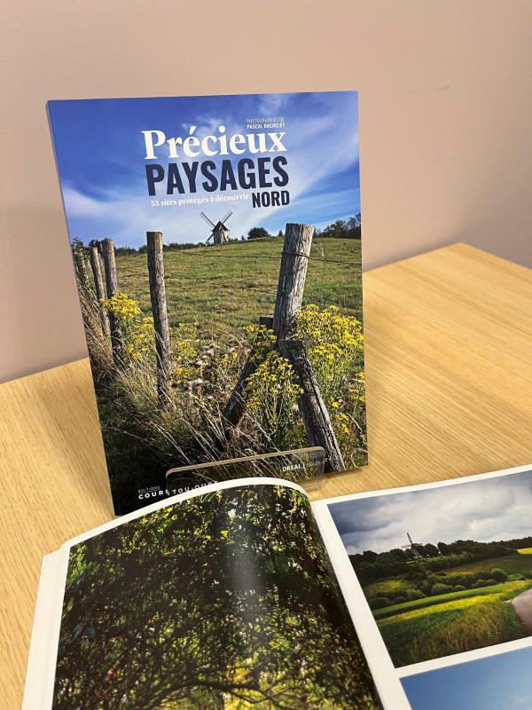 de-c-t-2063 de-c-t-2063